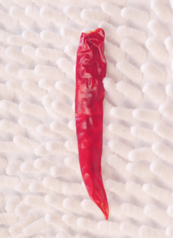 ӡS17 11f(wn)-13f(wn)SHU