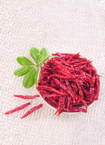 ӡS17 ȣ11f(wn)-13f(wn)SHU