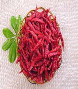 ӡS17 11f-13fSHU