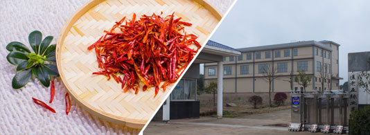 精品辣椒絲