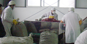 星秀野山椒精選場面 星秀野山椒精選場面