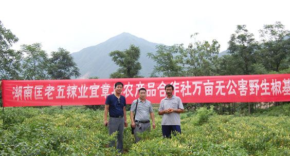 匡老五辣業(yè) 匡老五辣業(yè)