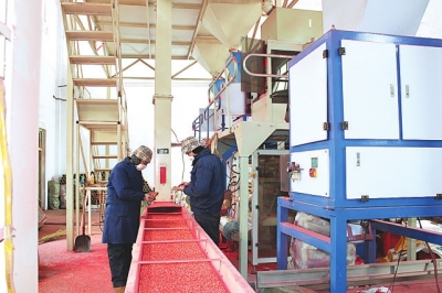 匡老五辣業(yè)先進加工線 匡老五辣業(yè)先進加工線