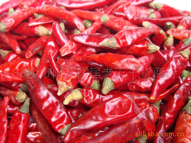 匡老五辣業(yè)滿天星干辣椒 匡老五辣業(yè)滿天星干辣椒