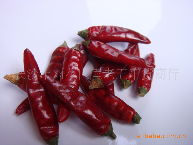 匡老五辣業(yè)滿天星 匡老五辣業(yè)滿天星