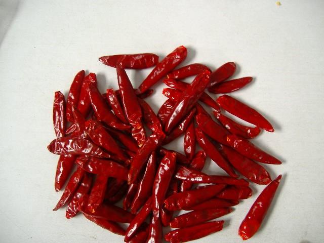 匡老五辣業(yè)新一代小紅椒 匡老五辣業(yè)新一代小紅椒