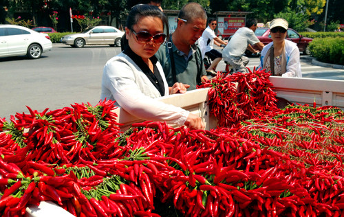匡老五子彈頭辣椒 匡老五子彈頭辣椒