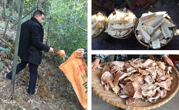 干辣椒批發(fā)市場 干辣椒批發(fā)市場