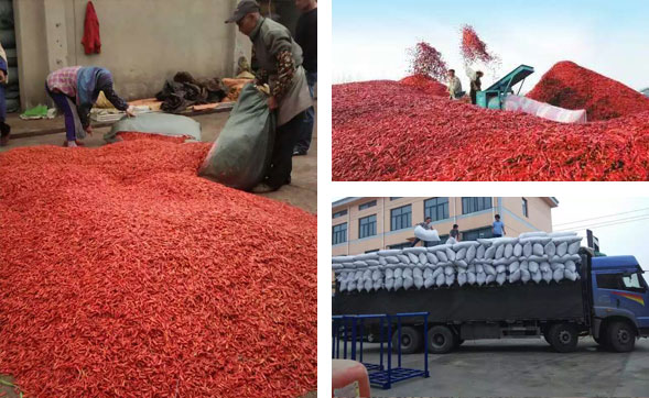 湖南干辣椒批發(fā) 湖南干辣椒批發(fā)