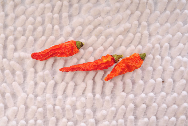 n(gu)ݲˡؑcС  (gu)ʳƥ䌦(du)(yng)