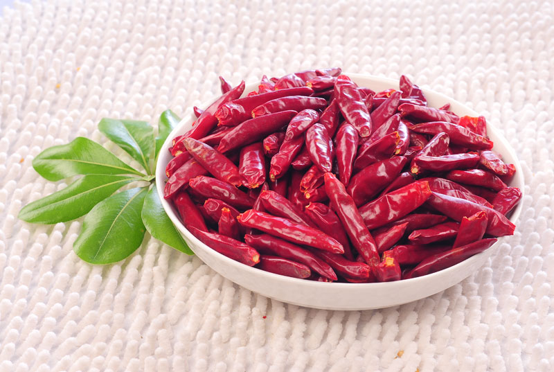 l(f)ǰ횴_J(rn) 4 (g)|(zh)z(bo) 㲻ȿ